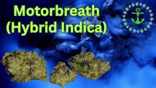 Motorbreath Flower Reveiew