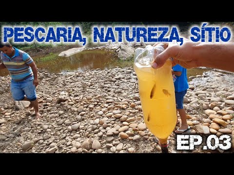 Um dia na Roça (Peixes, Umbu, Ciriguela, Fruta de Palma, Rio, etc) à bordo da D20 94- #T02 EP.03