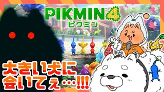 【ピクミン４】そろそろ噂の大きい犬さんに会えますか…？？？🐾
