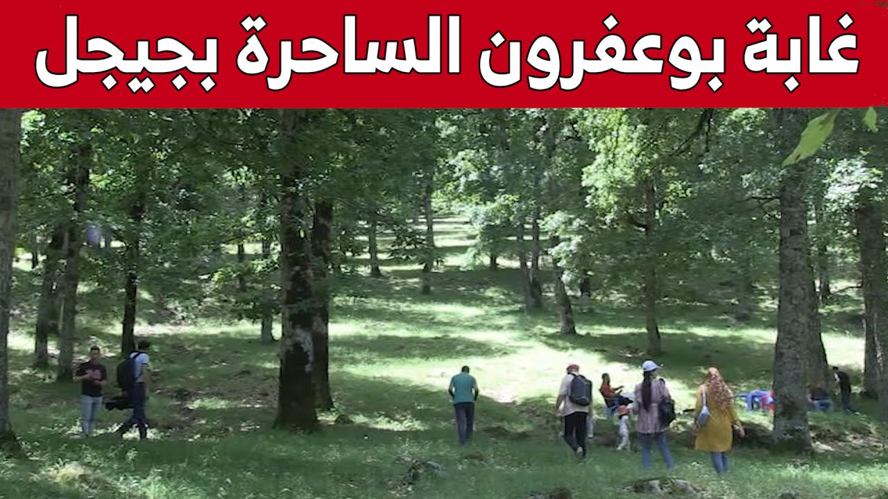 غابة بوعفرون بجيجل.. قبلة لعشاق الطبيعة ومحبي الإستجمام.. شاهد: