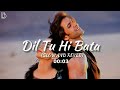 Dil Tu Hi Bata [SlowAndReveb] Krrish 3 l Hrithik Roshan Alisha Chinai l Zubben Garag l love song Mp3 Song