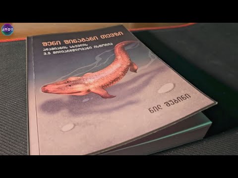 შენი შინაგანი თევზი