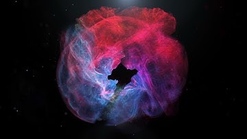 Colorful Fluid Logo Reveal | Videobolt.net Intros | Create a logo intro online in minutes