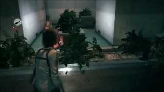 T.E.W. The Assignment -2- IT SEES