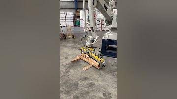 Strapping Systems NZ Fromm Packaging Systems Robot ABB 460 Timber Press PET Strap Picking Bunks