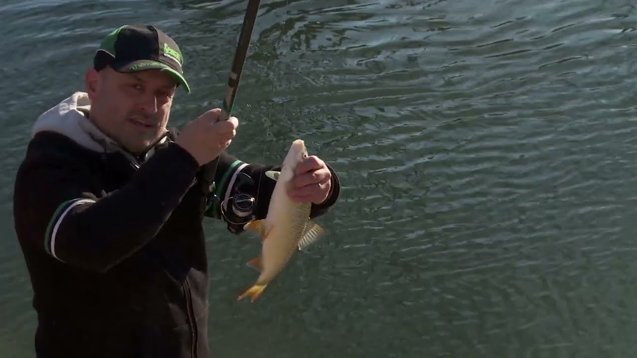 Esztergomi Kis-Duna Horgászat