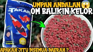 UMPAN MANCING ANDALAN OM BALIKIN KELOR | UMPAN SEMUA JENIS IKAN‼️