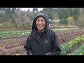 Farms In full bloom