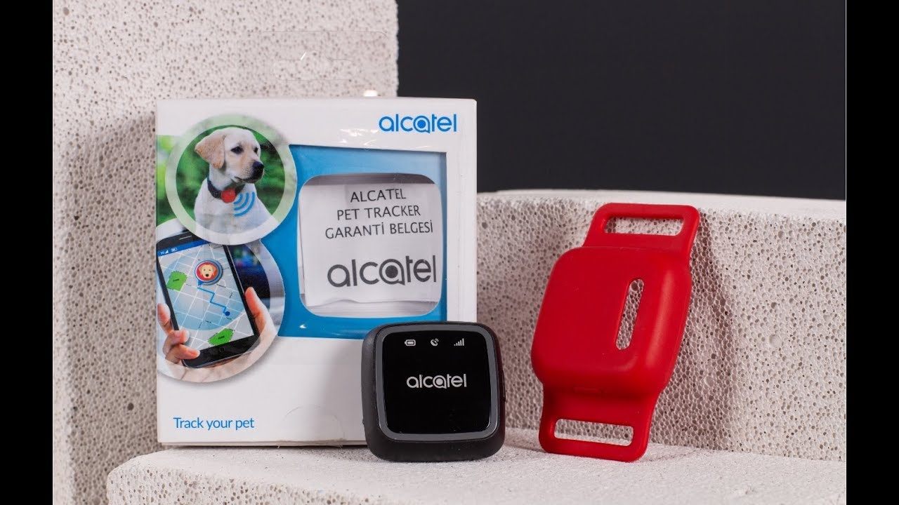 Alcatel Move Track Akilli Pet Takip Cihazi Urun Inceleme Youtube
