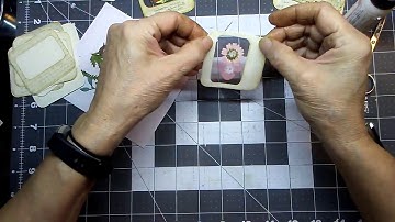 #The100DayProject | Day 1 follow-up | Specimen Slides part 2