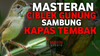 MASTERAN CIBLEK GUNUNG SAMBUNG CIGUN ISIAN KAPAS TEMBAK