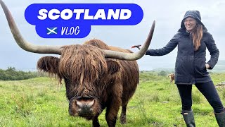 We met Scottish Highland Cattle (!!!) and two Airbnb tours 🐂🏴󠁧󠁢󠁳󠁣󠁴󠁿