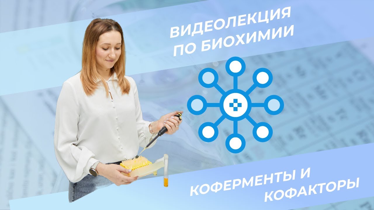 7. Коферменты и кофакторы - YouTube