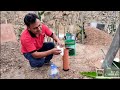 Cómo cultivar PITAHAYA en lugares donde no hay agua 😱 Tecnica de riego solar 💚
