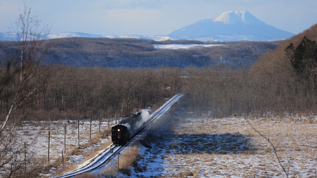 釧網本線 細岡〜塘路（達古武俯瞰）9381レ SL冬の湿原号 C11+14系