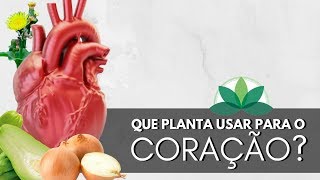 Que Planta Usar Para O Coração?