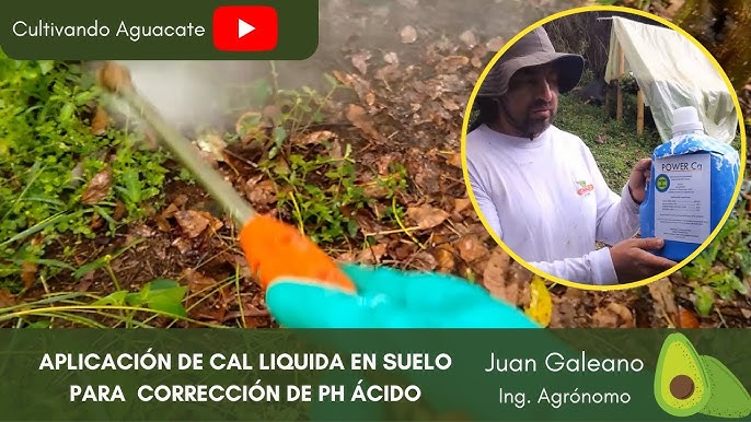 Como calcular una dosis de cal agrícola 