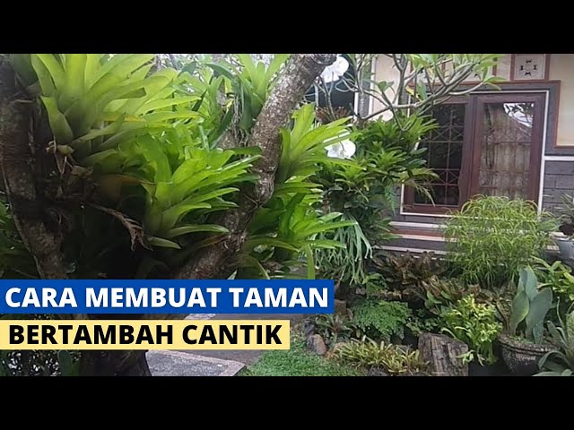 Trik dan Teknik Agar Taman Bertambah Asri dan Indah class=