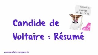 résumé Candide