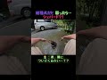 可愛い雑種犬だと思って 救ったら… AIの分析結果が??!!
