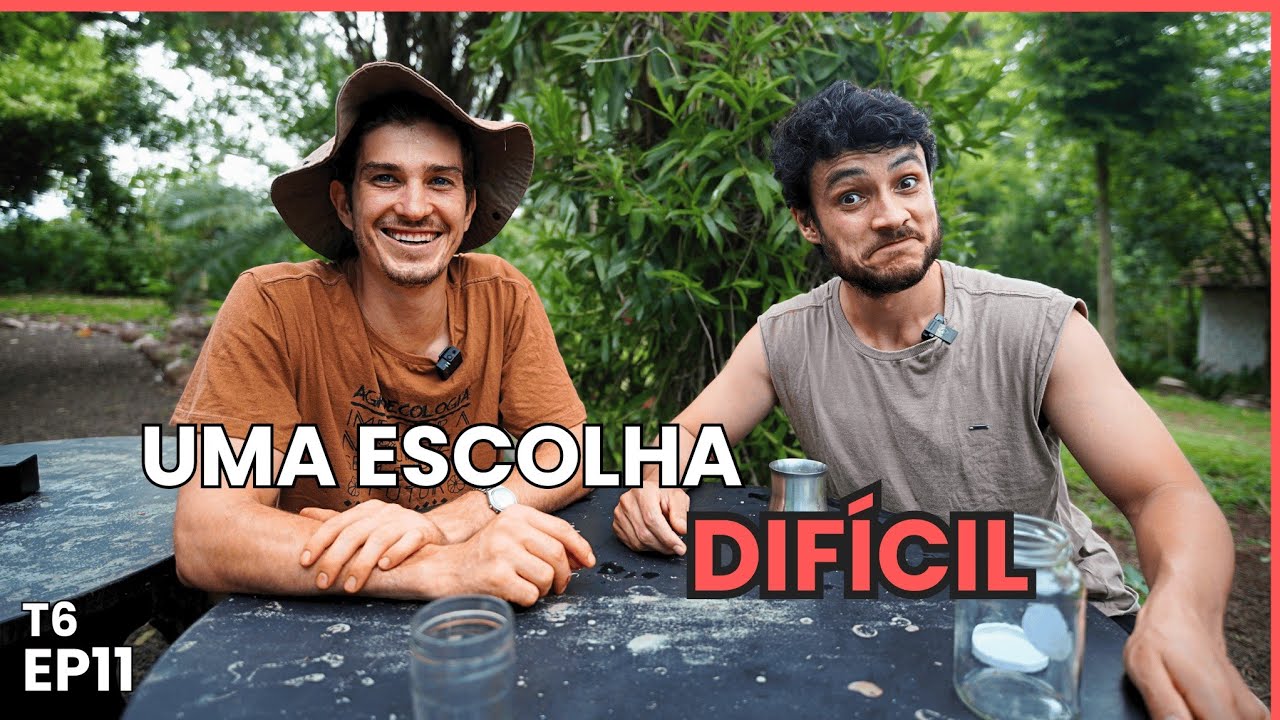 Dois canais, uma dúvida: separar os temas foi um erro?