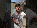Игра тах тах