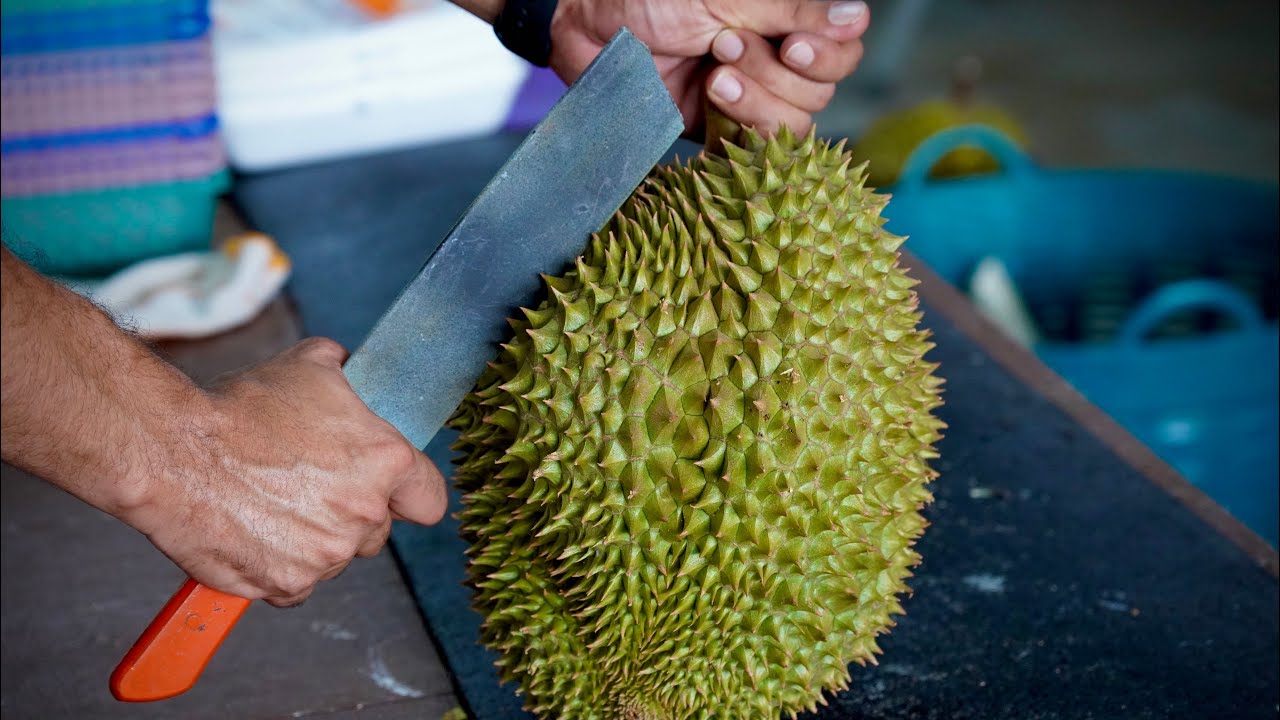 Giant Fresh Durian! Snake fruit, Rambutan From The Tree - Fruit Buffet ...