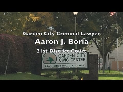 Garden City Lawyer 21st District Court Judge Hammer Youtube