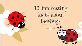 15 interesting facts about ladybugs. by Summary Facts 74 views 11 months ago 2 minutes, 26 seconds