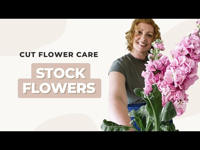 How to Arrange Fresh Cut Flowers Like a Pro - Birds and Blooms