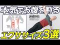 【一撃で変わる】腹筋割りたい人はこれだけでOK！ウエスト周りの脂肪をごっそり削る最強腹筋エクササイズ【ピラティス】