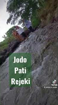jodo pati rejeki neng tangane Gusti
