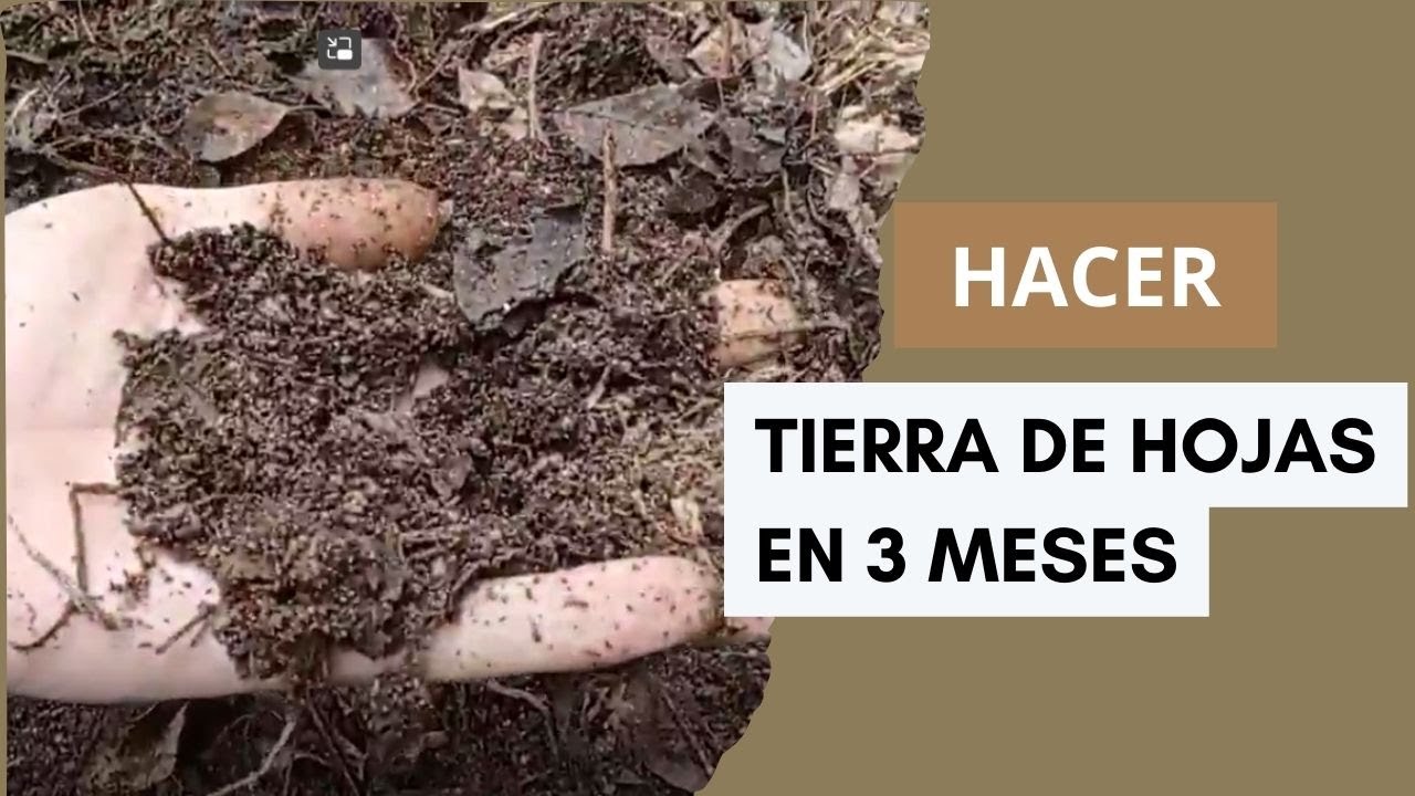 Compost orgánico tierra de hojas
