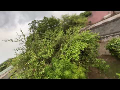 सुहावना मौसम🌤️🌤️#viral #nature #baby #shortsfeed #funny #tranding #cute @ManvikChahar