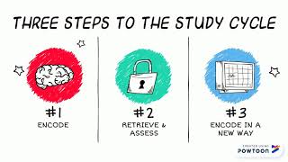 The Study Cycle Crash Course