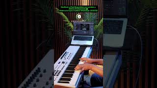 iPad Disponibles con más de 2000 Samples y más de 100 Ritmos Profesionales, a un Precio de Oferta!✅