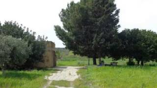 Castelvetrano: Terreno agricolo Open space in Vendita