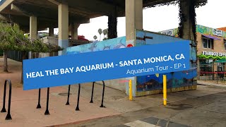 Heal the Bay Aquarium Episode 1
