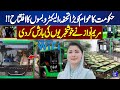 Electro Buses for Rajanpur | Good News for Women and Old Age Persons | Maryam Nawaz Announcement