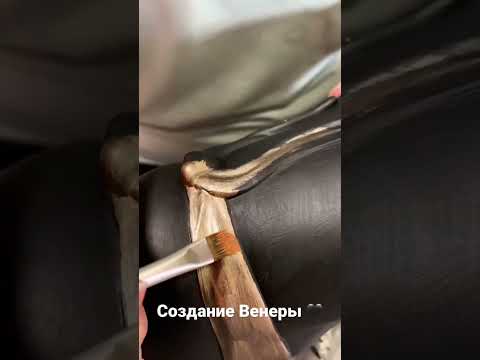 Процесс создания Венеры