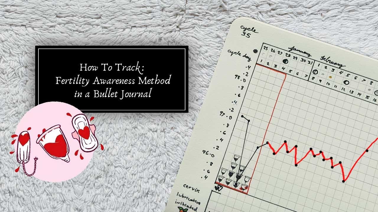 How To Track Your Fertility Awareness in a Bullet Journal YouTube
