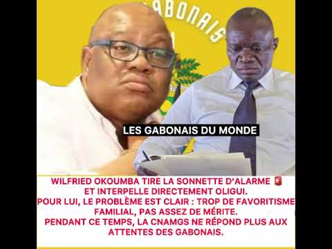 Wilfried Okoumba furieux : “Le clan paternel d’Oligui détruit la gestion du pays !”