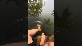 Oru fish massage vlog😌                  #keralavillagelife #dailyvlog #malayalamvlog #malabar