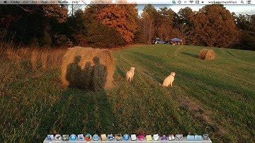 How to Print Labels through Contacts