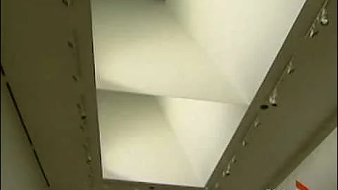 MINNA RHEE, AGO TRANSFORMATION FRANK GEHRY