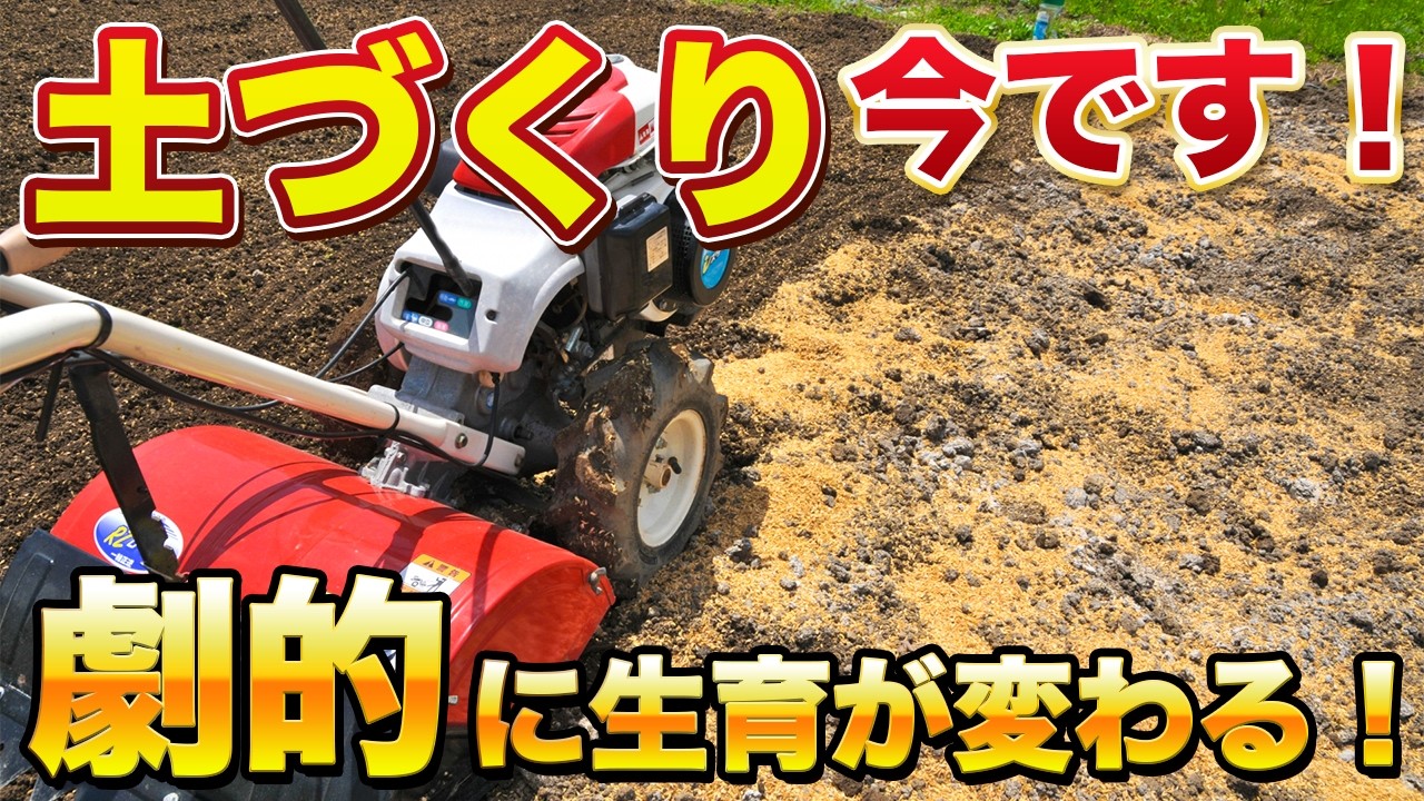 【今でしょ！】この時期に土づくりを行うことで夏野菜が劇的に変わります！どんな資材を撒けばよい？何をすればよい？