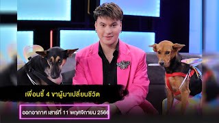 เรื่องจริง Night Life ออกอากาศ 11 พฤศจิกายน 2566