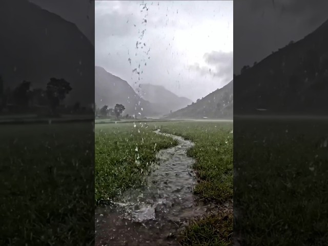 Heavy morning rain in the mountains.No music. Just nature. 🌧️ #rainasmr #rainsounds #shorts #rain