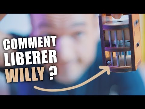Il faut sauver Willy (c'est la bille !)