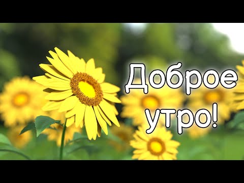 ❤️❤️❤️ПОЖЕЛАНИЕ НА ВЕСЬ ДЕНЬ❤️❤️❤️ С Добрым Утром Хорошего Дня. Доброе Утро! СТИХ